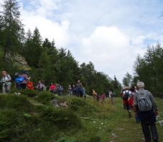 Stara vršiška cesta